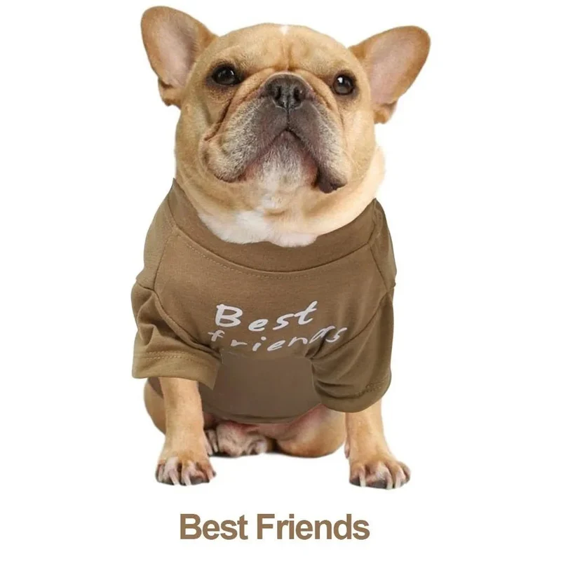 T-shirt para Cães