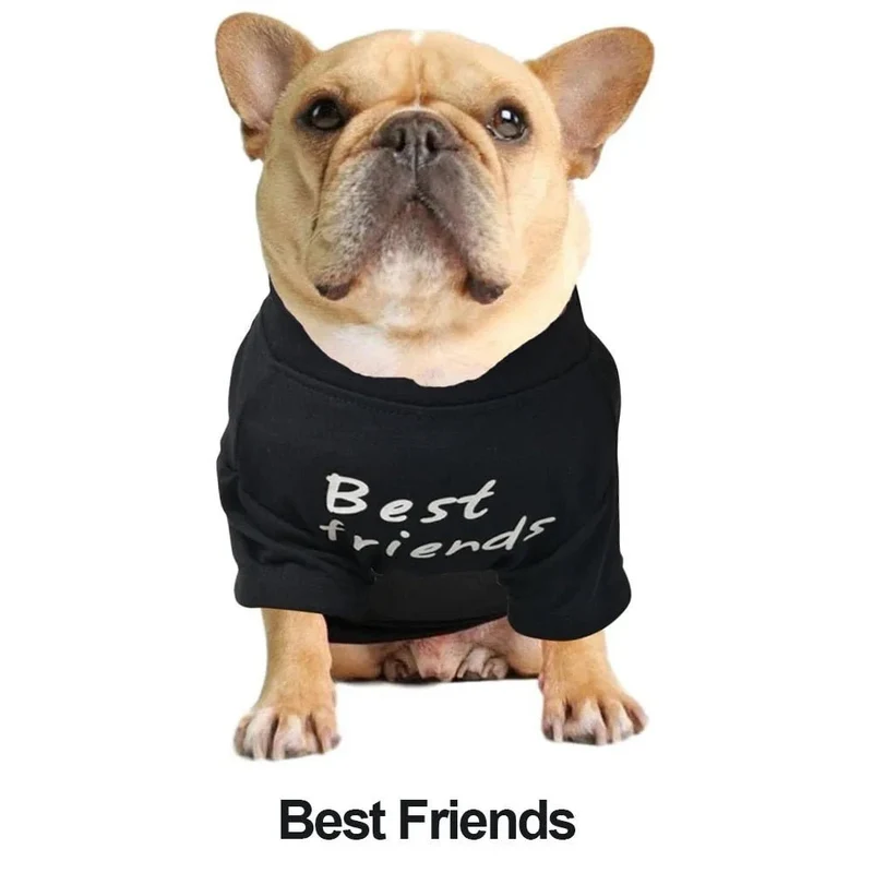 T-shirt para Cães