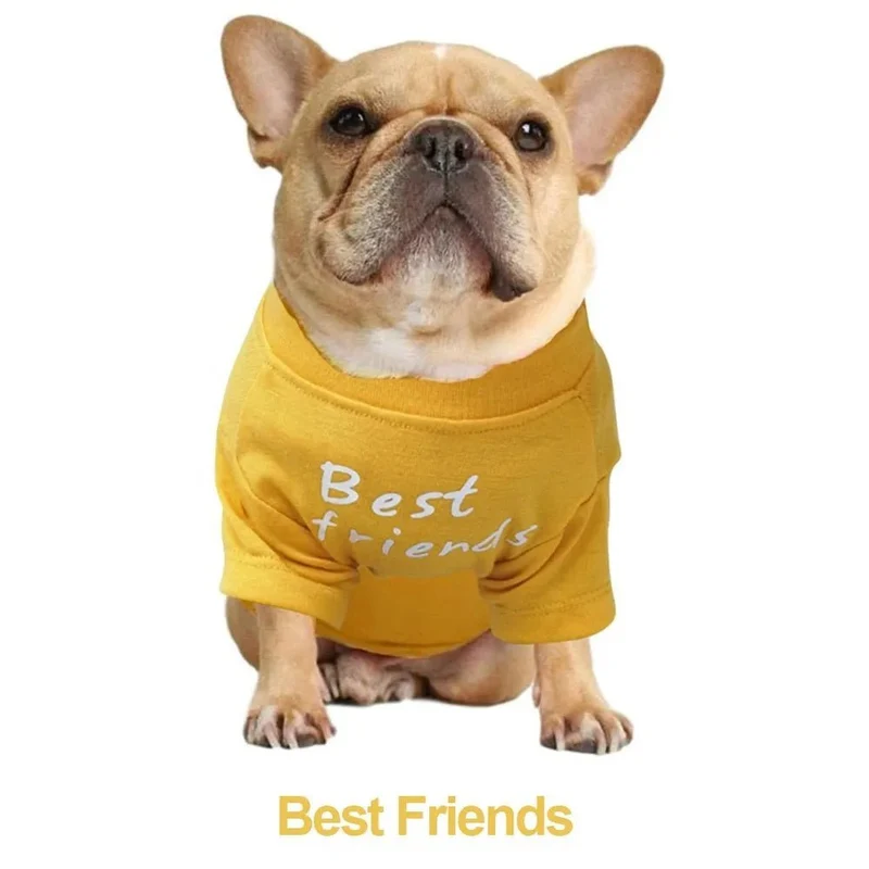 T-shirt para Cães