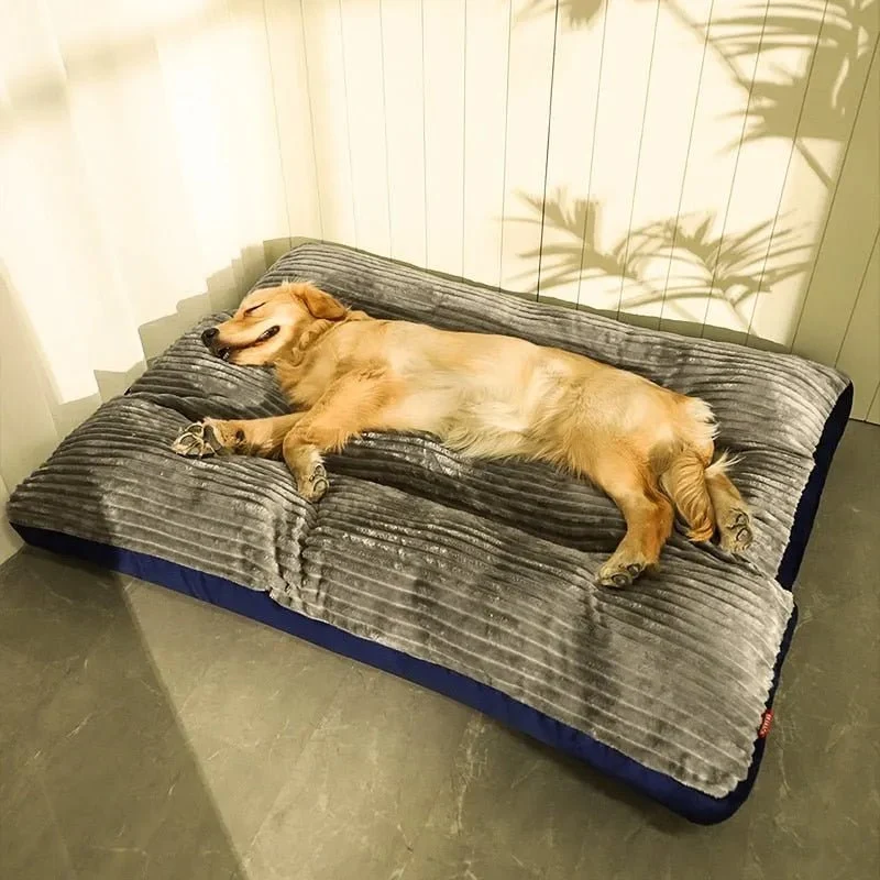 Cama Lavável, Quentinha e Confortável, para Cães