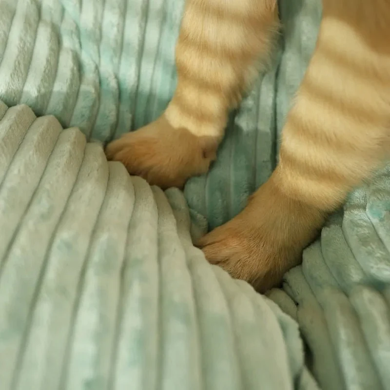 Cama Lavável, Quentinha e Confortável, para Cães