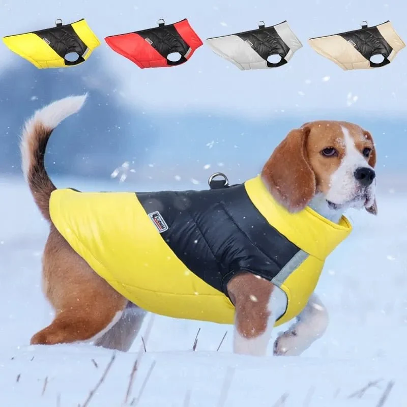 Blusão Quente, Acolchoado, Impermeável, para Cães