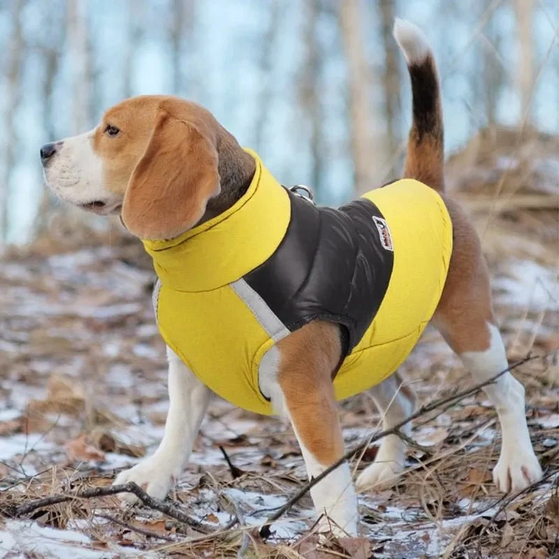 Blusão Quente, Acolchoado, Impermeável, para Cães