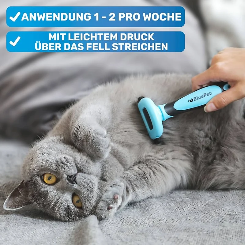 Kurzhaar Unterfellbürste - Kammblatt - blau