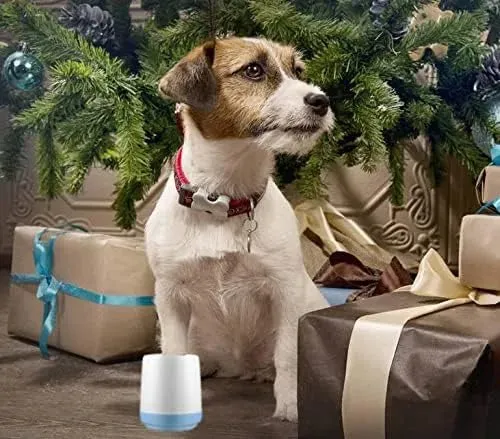 Limpador manual de patas para cão pequeno, com oferta de escova de dentes e toalha