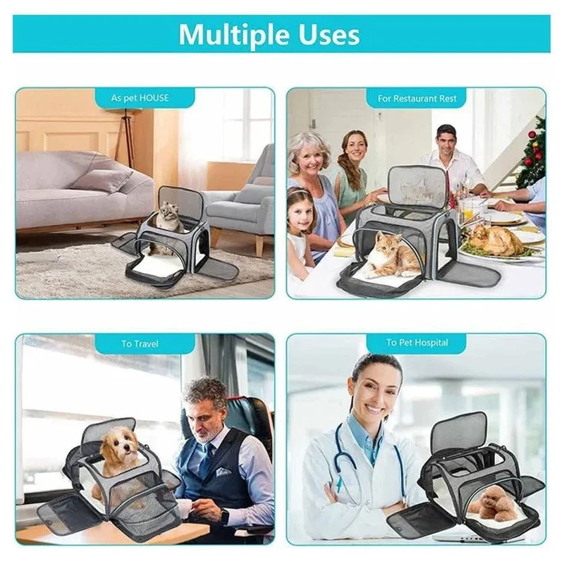 Transportadora para Cães e Gatos