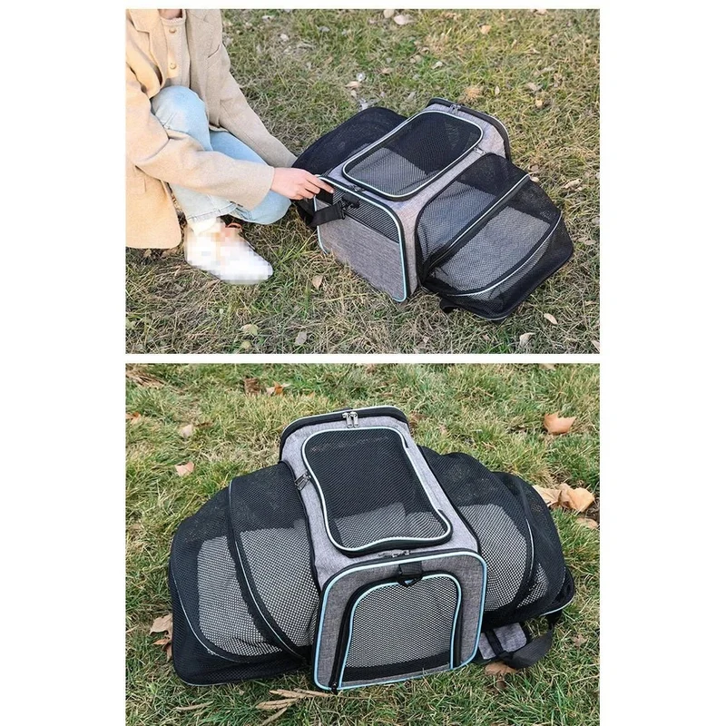 Transportadora para Cães e Gatos