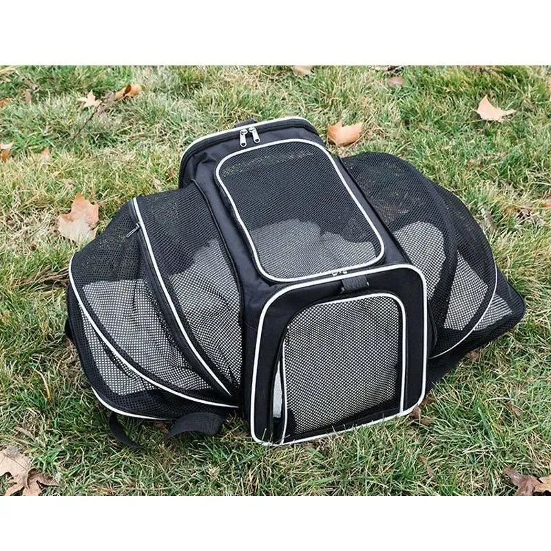 Transportadora para Cães e Gatos