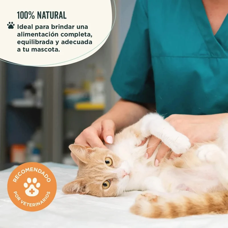 Suplemento para melhorar o bem-estar geral - 180 g - dieta BARF rica em vitaminas, minerais e proteínas para cães e gatos - Melhora o sistema imunitário - 100% natural - Wolf Belly Pets All-in-One