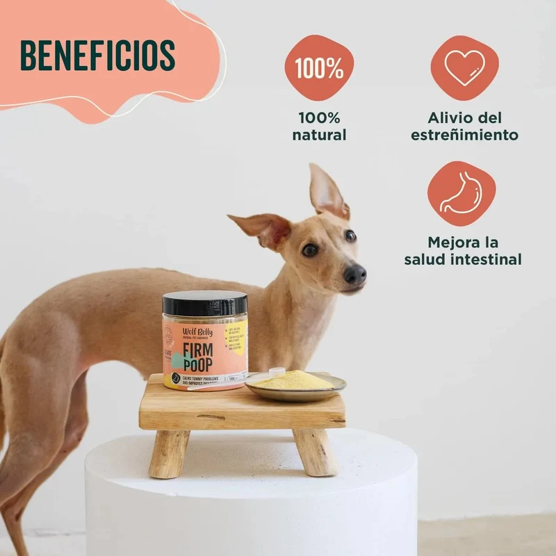 Suplemento com probióticos para problemas gastrointestinais - detém a diarreia e a obstipação - 180 g - Recupera e cuidado com a flora intestinal para cães e gatos - 100 % natural - Wolf Belly Firm Poop