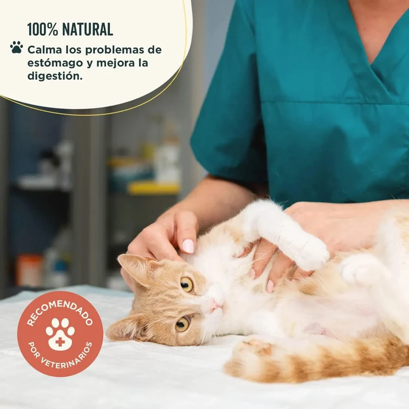 Suplemento com probióticos para problemas gastrointestinais - detém a diarreia e a obstipação - 180 g - Recupera e cuidado com a flora intestinal para cães e gatos - 100 % natural - Wolf Belly Firm Poop