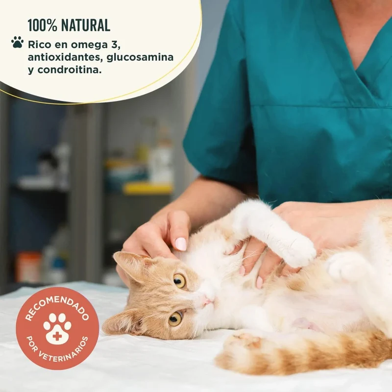 Suplemento condroprotetor e anti-inflamatório - Alivia e evita a dor de articulações de cães e gatos - 100 % natural - Wolf Belly Joints of Steel
