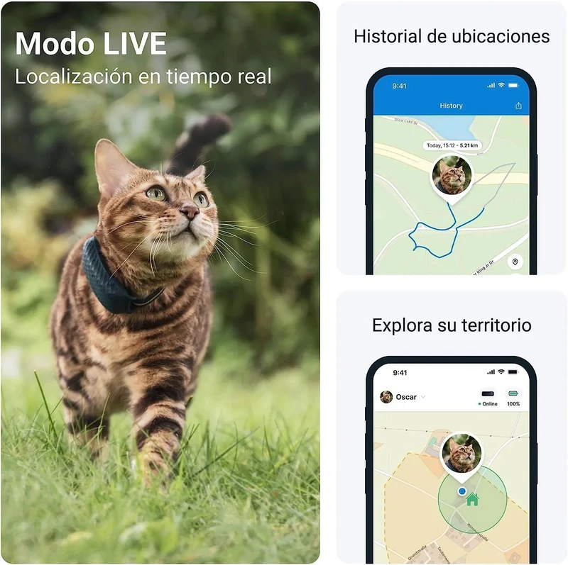 Colar GPS para gato, atualizações de localização 24 horas por dia, 7 dias por semana e análise do território, alerta anti-fuga, distância ilimitada