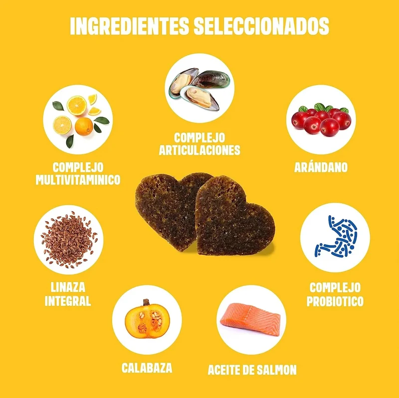 Multivitaminas - Complemento alimentar Multivitamínico para cães - cuidado completo para uma vida feliz do cão - 60 biscoitos de frango (270 g)