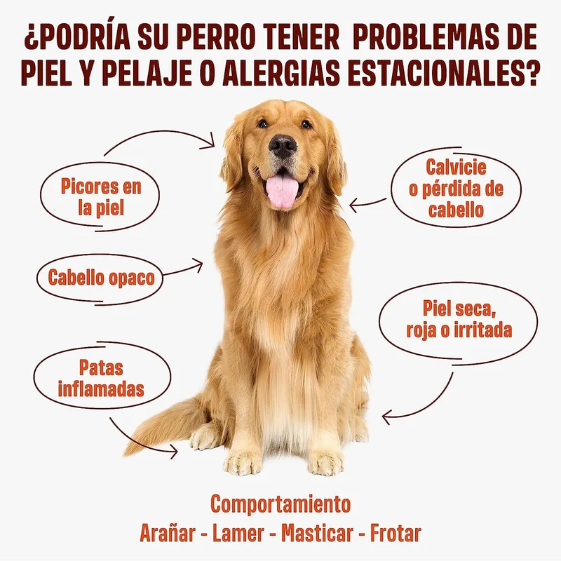 Skin & Coat - Complemento alimentar para cães, anti-picadas, pêlo macio e brilhante - ômega 3, óleo de salmão, DHAgold, vitaminas C, E e zinco - 60 golosinas de salmão