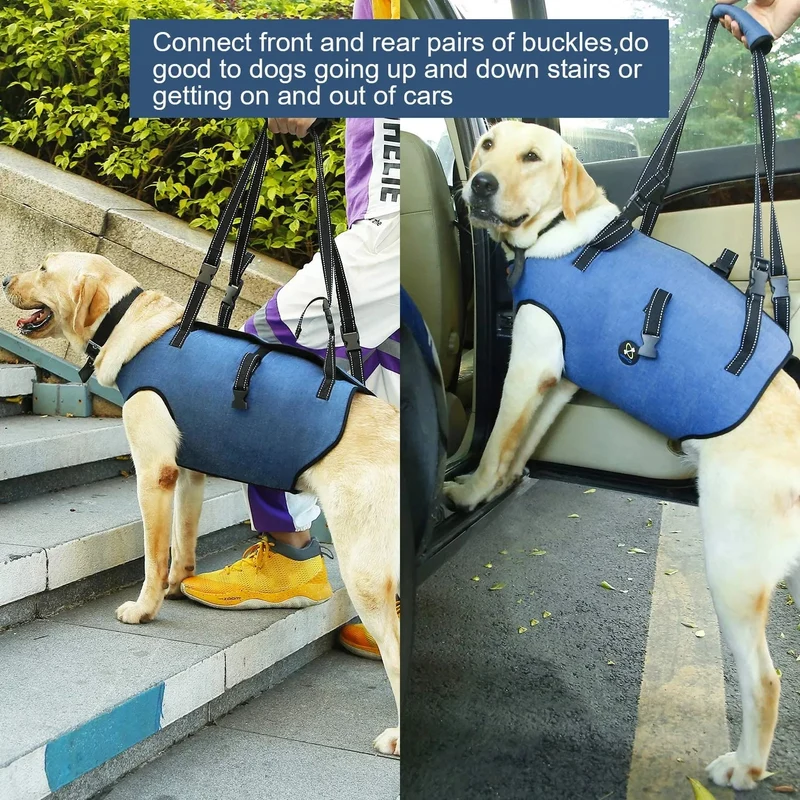 Arnês de suporte para cães idosos, incapacitados ou com lesões nas articulações- para reabilitação - ajustável e acolchoado