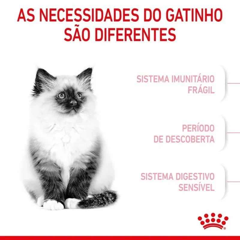 Royal Canin Kitten