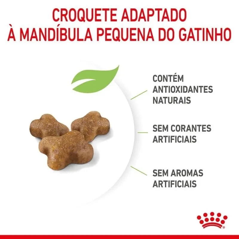 Royal Canin Kitten
