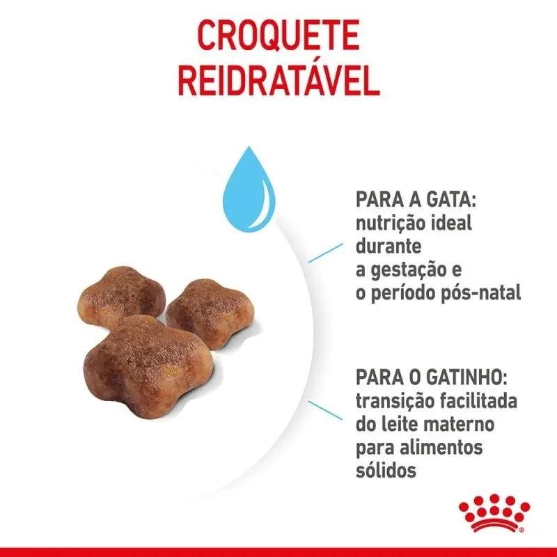 Royal Canin Mother & Babycat