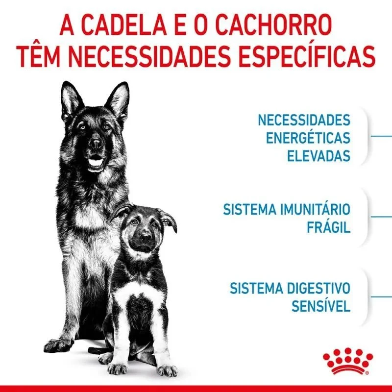 Royal Canin Maxi Starter Mother & Babydog