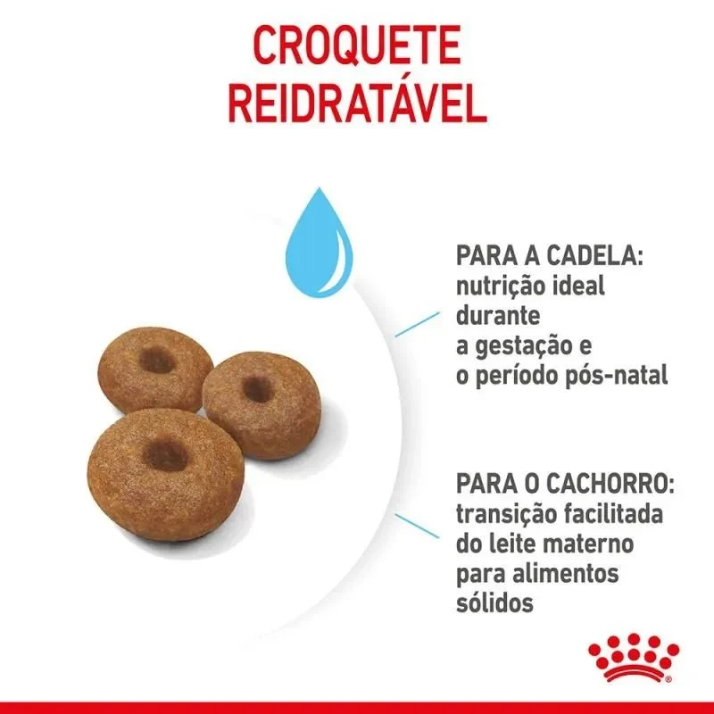 Royal Canin Maxi Starter Mother & Babydog
