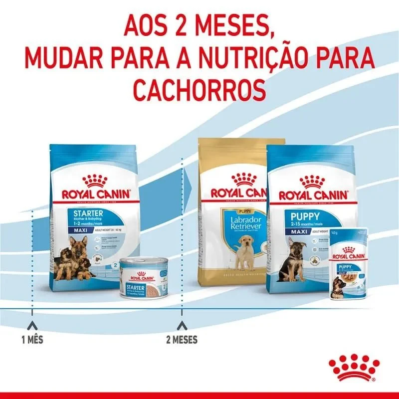 Royal Canin Maxi Starter Mother & Babydog