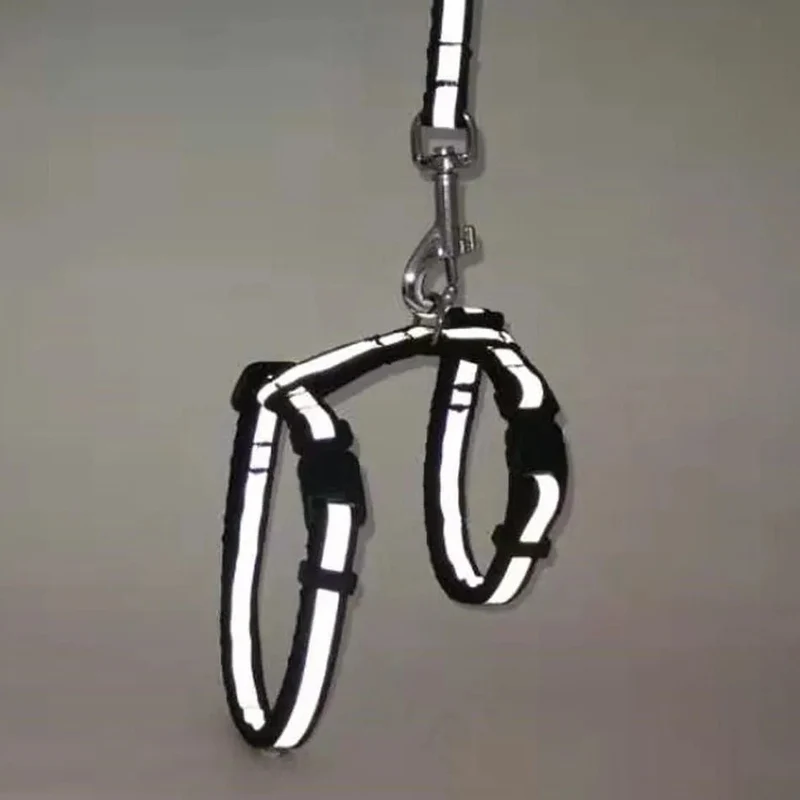 Arnês com Trela para Gatos