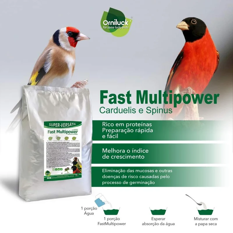 Fast Multipower Carduelis & Spinus 1kg - OrniLuck - Grünes Eifutter