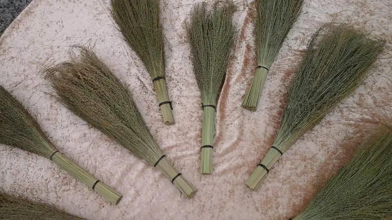 Pagima Grüngras-Bündel - Sprays - Für Vögel und Hamster