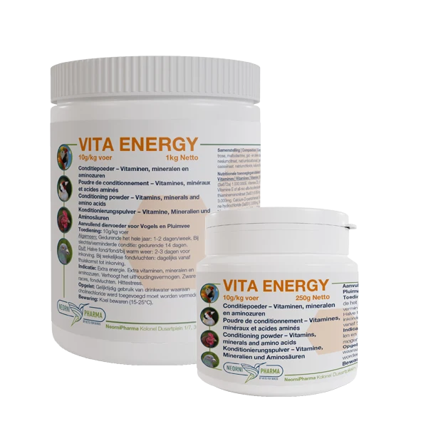 Vita Energy 1kg - Neornipharma
