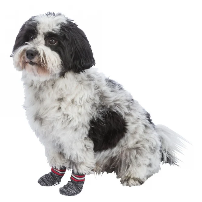 Trixie Hundesocken