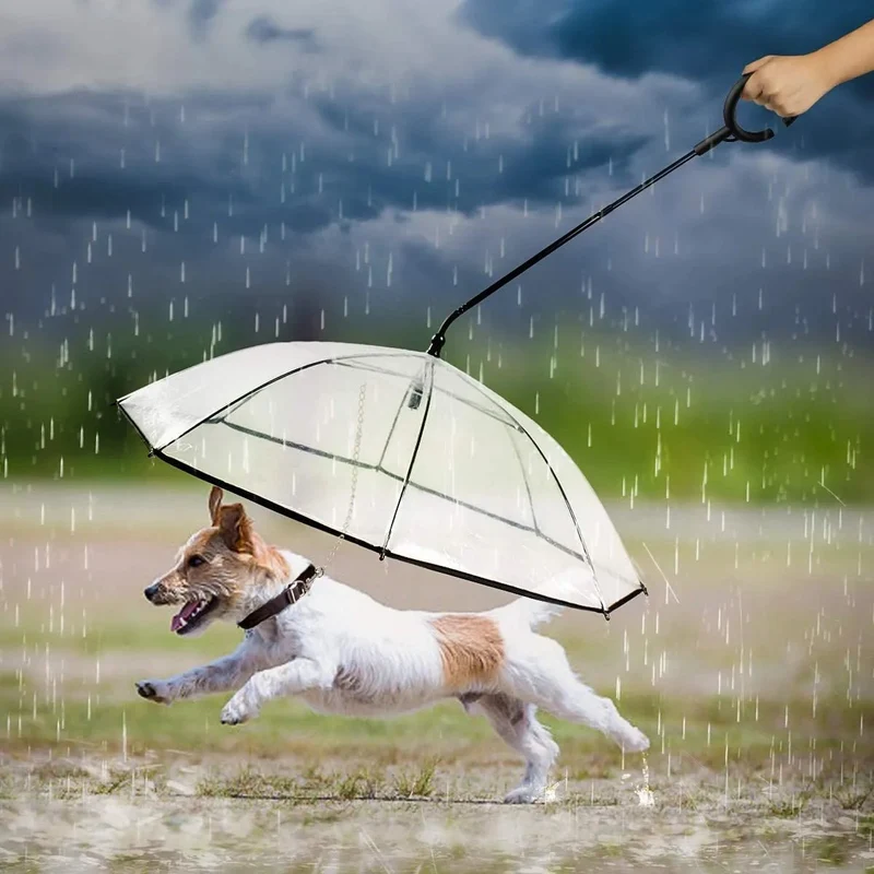 Guarda-chuva com trela, para cães, para passeios ao ar livre com chuva
