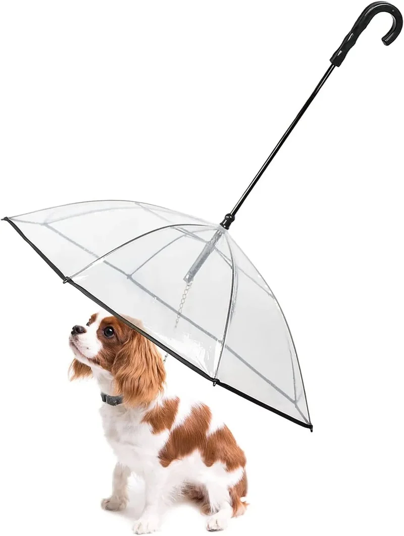 Guarda-chuva com trela, para cães, para passeios ao ar livre com chuva