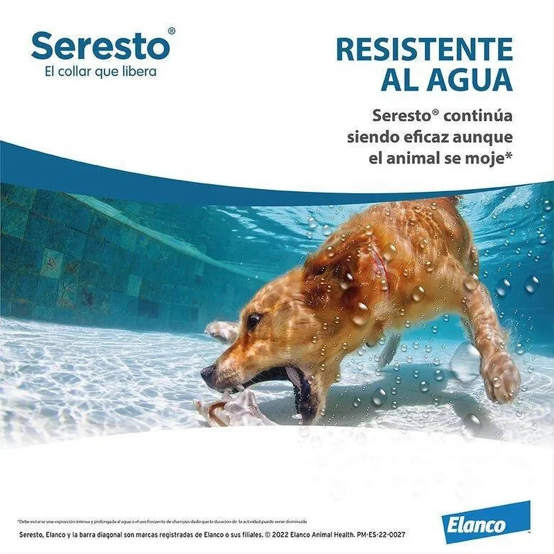SERESTO Desparasitante Coleira para Gato
