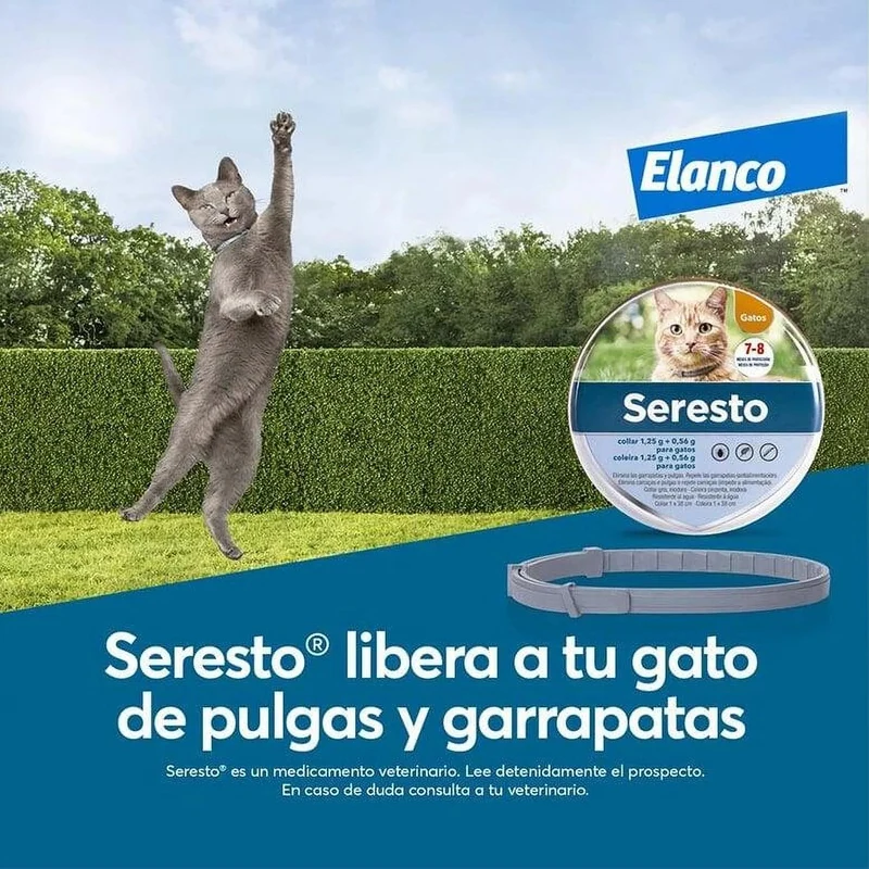 SERESTO Desparasitante Coleira para Gato