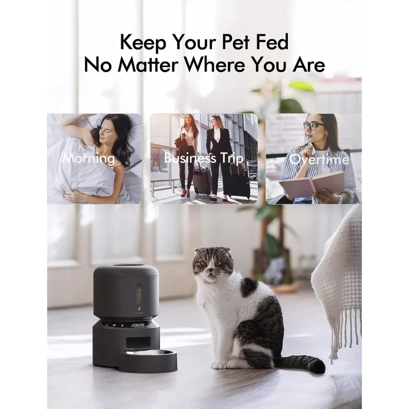 Alimentador Automático 3 L ideal para Gatos, com gravação de voz 10 seg, até 50 porções 6 refeições por dia, com tigela de aço inoxidável e tampa Twist Lock