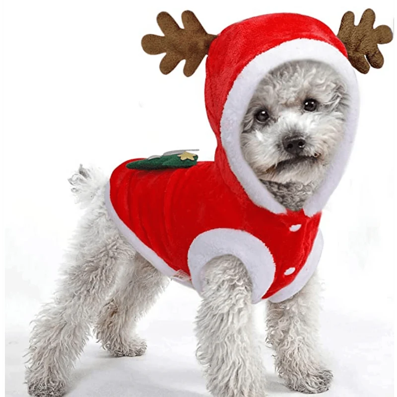 Conjunto Roupa de Natal para cão ou Gato ( 4 tamanhos)
