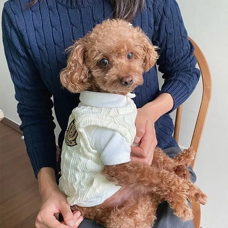 Camisola Tipo Pull-Over para Cães de Raças Pequenas e Médias