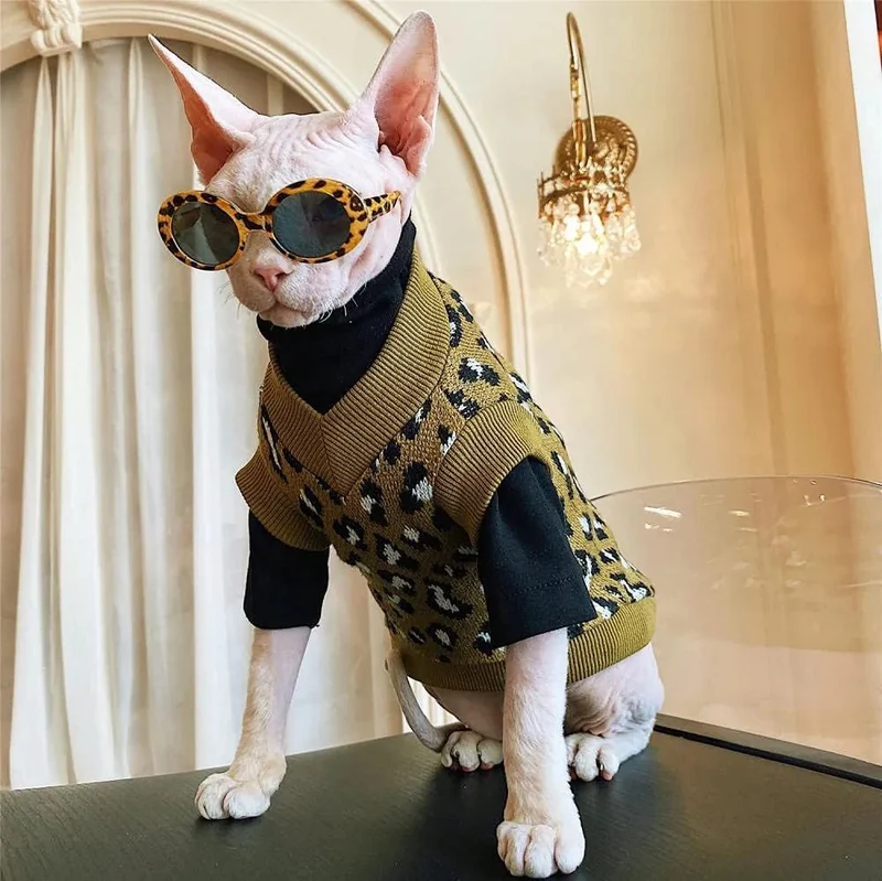 Camisola, com manga e sem manga, para gato Sphynx