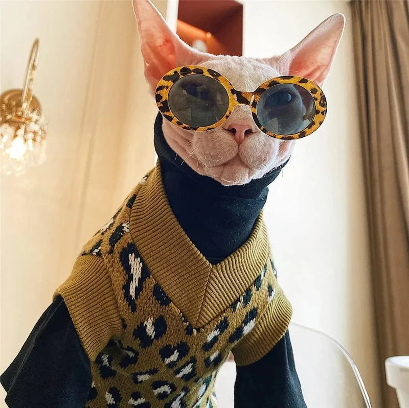 Camisola, com manga e sem manga, para gato Sphynx