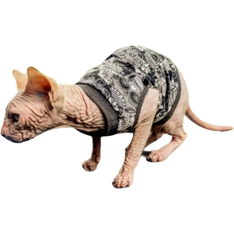 T-shirt Sculls para Gato Sphynx