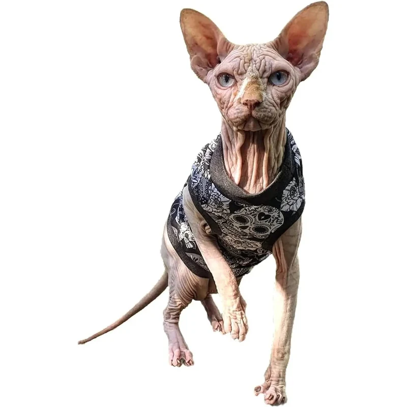 T-shirt Sculls para Gato Sphynx