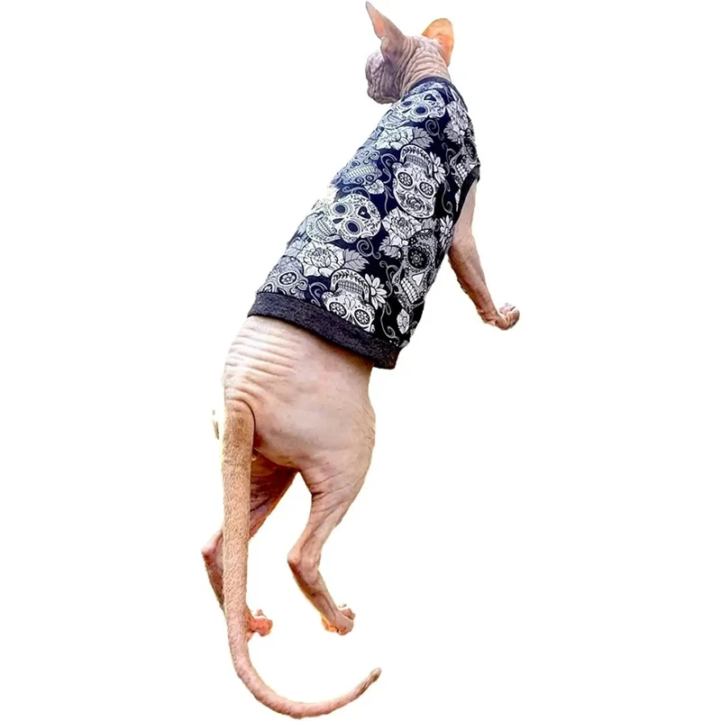 T-shirt Sculls para Gato Sphynx