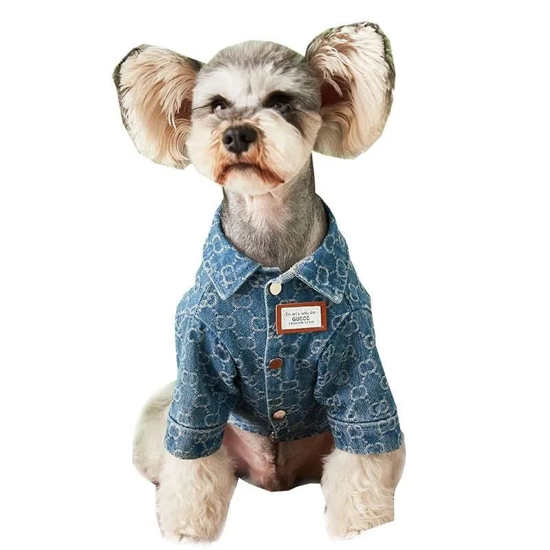 Camisa / Casaco "Designer" para Cães Pequenos e Médios