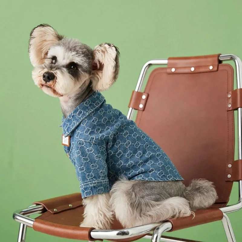 Camisa / Casaco "Designer" para Cães Pequenos e Médios