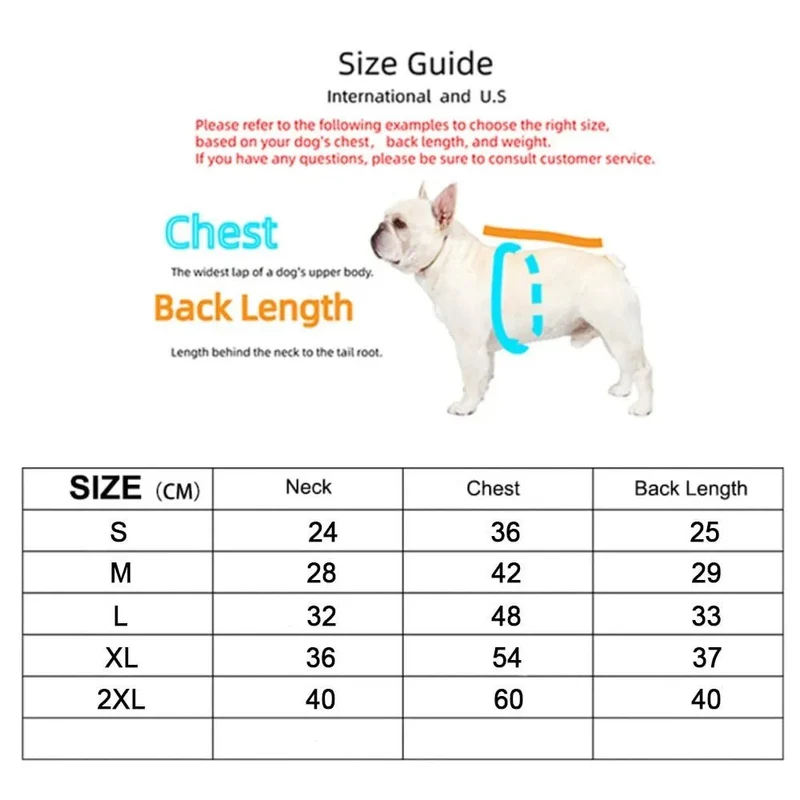 Camisa / Casaco "Designer" para Cães Pequenos e Médios