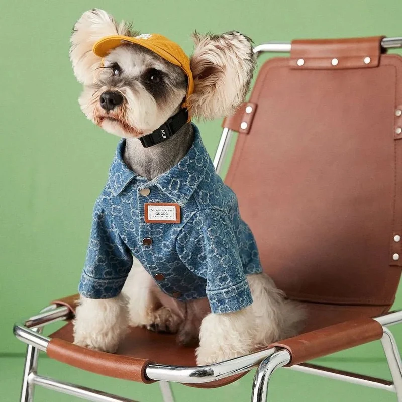 Camisa / Casaco "Designer" para Cães Pequenos e Médios