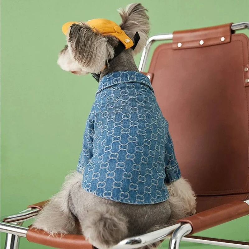 Camisa / Casaco "Designer" para Cães Pequenos e Médios