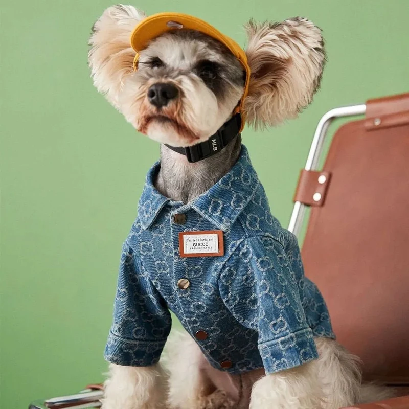 Camisa / Casaco "Designer" para Cães Pequenos e Médios