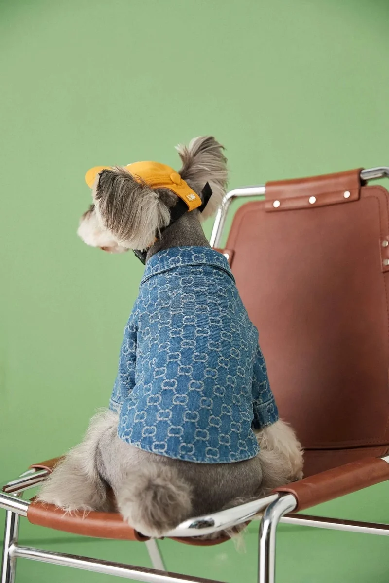 Camisa / Casaco "Designer" para Cães Pequenos e Médios